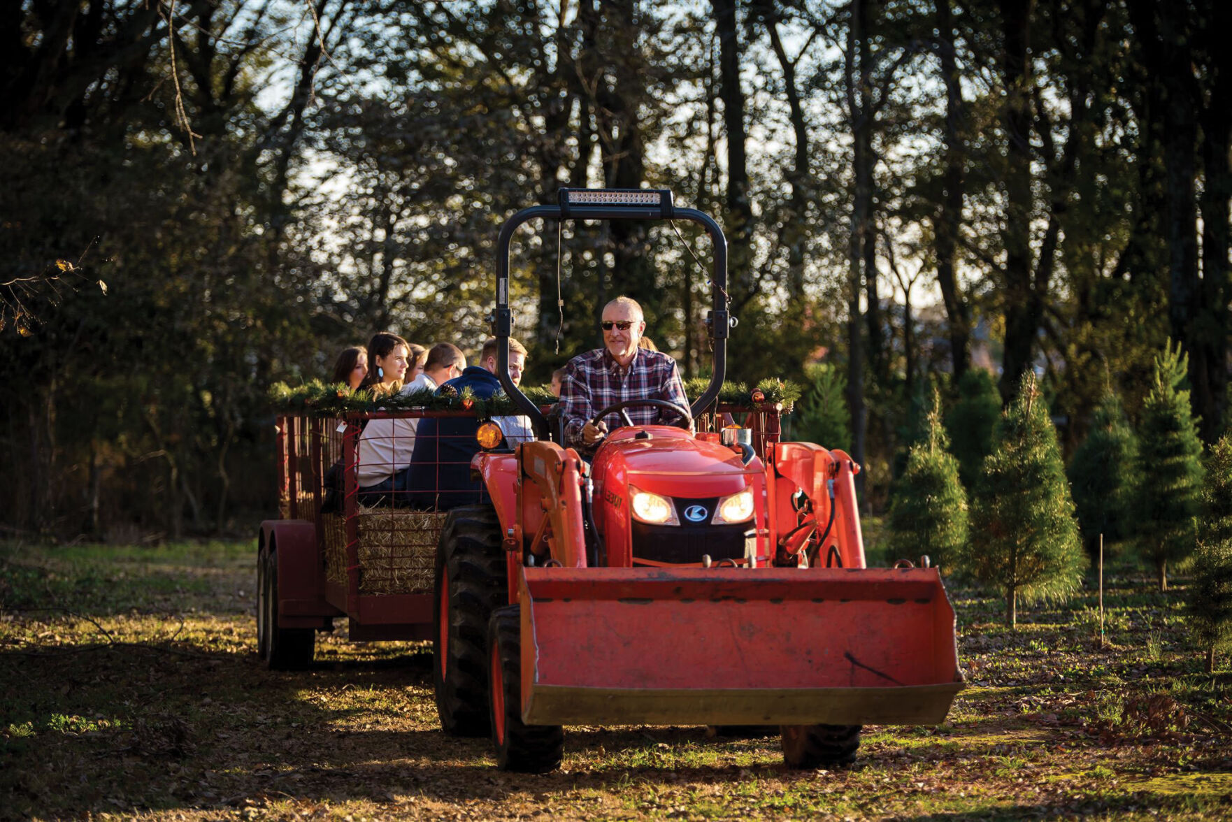 Wonderland Tree Farm